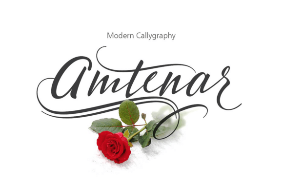 Amtenar: A Stylish Script Font for Professional, Beautiful Branding