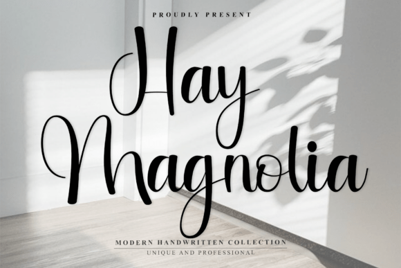 Choosing Hay Magnolia: A Font for Confident, Creative Content