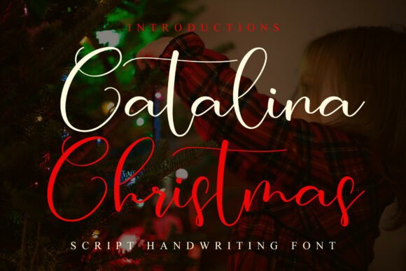 Using Catalina Christmas for a Modern Vintage Brand Identity